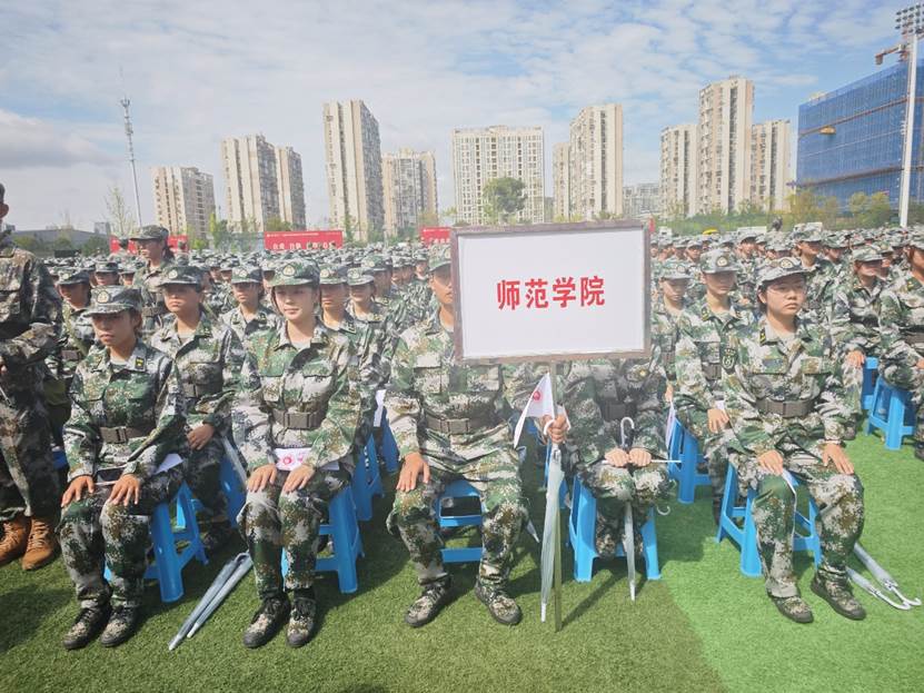 许多人站在草地上 AI 生成的内容可能不正确。